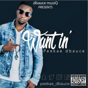 Peekae dbauce - Want In